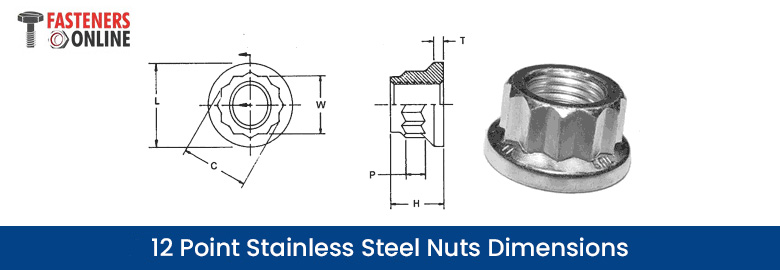 12 Point Stainless Steel Nuts Dimensions