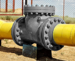 Application of UNS S43000 Fasteners