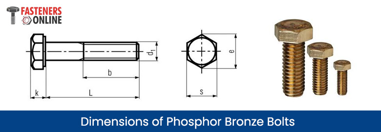 Dimensions of Phosphor bronze bolts