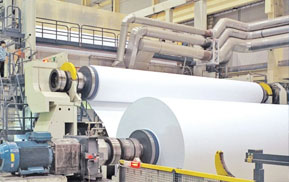 Paper and pulp industry