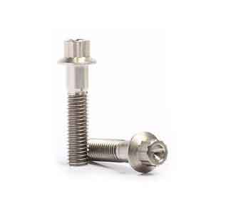 12 point flange bolts stainless steel 12 point flange bolts stainless steel Manufacturers in India