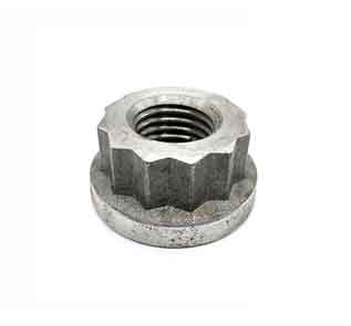12 point hex nuts 12 point hex nuts Manufacturer in India