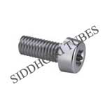 ISO 14579 cheese head screws with hexagon socket