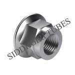 Hexagon nuts with flange and with non-metallic insert