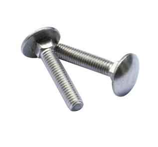 Stainless steel round head bolt Stainless steel round head bolt Manufacturers in India