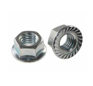 Stainless 321H Serrated Steel Nuts Stainless 321H Serrated Steel Nuts Manufacturer in India