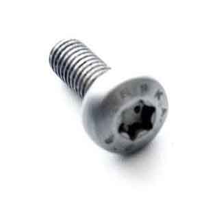 Stainless Steel Torx Bolts Stainless Steel Torx Bolts Manufacturers in India