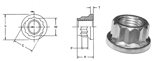 12 Point Stainless Steel Nuts Dimensions 12 Point Stainless Steel Nuts Dimensions