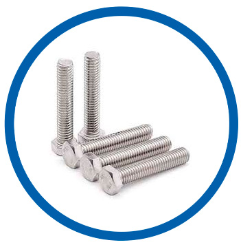 25-6 mo heavy hex bolt