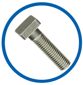 25-6 mo square bolts