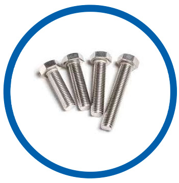 309 Stainless Steel heavy hex bolt
