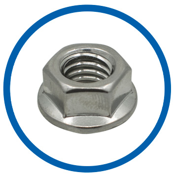 316H Stainless Steel flange lock nut