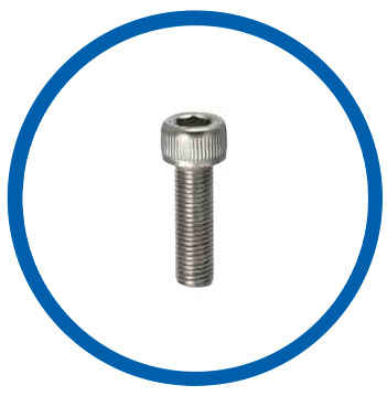 317L SS hex cap screws