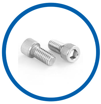 6% Mo Stainless Steel socket head cap screw