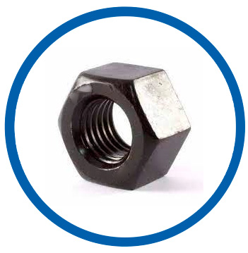 A194 Gr 4 Hex Nut