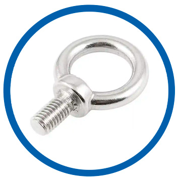 AISI 316L eye bolts