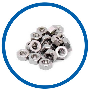 Alloy 25-6 MO hex nuts