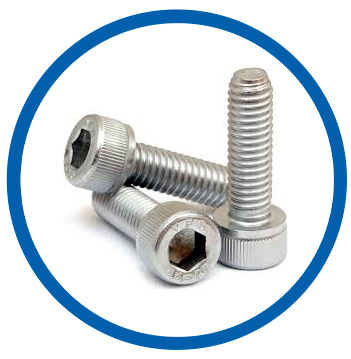 Alloy 316L socket cap screws