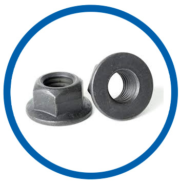 ASTM 194 2H Flange lock nut