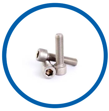 ASTM A193 SS hex cap screws