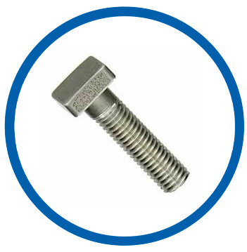 ASTM A193 UNS S20910 square bolts