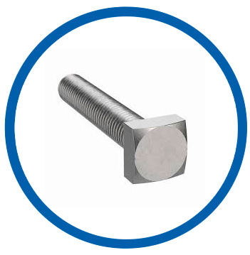 ASTM A276 Type 501 square bolts