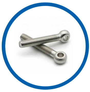 ASTM F468 UNS R50400 eye bolts