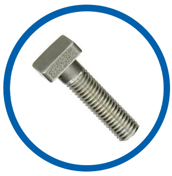 Black stainless steel square bolts