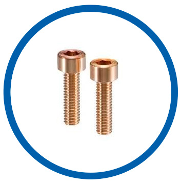 C544 Phosphor Bronze socket head cap screw