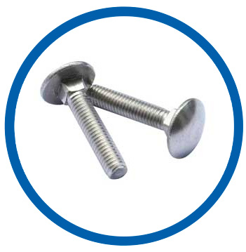 ASTM A193 SS 304H  Carriage Bolt