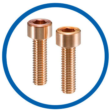 Cu copper hex cap screws
