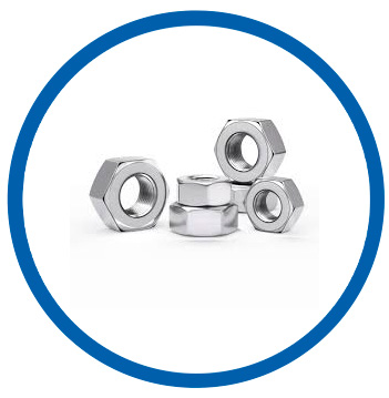 DIN 1.2355 hex nuts