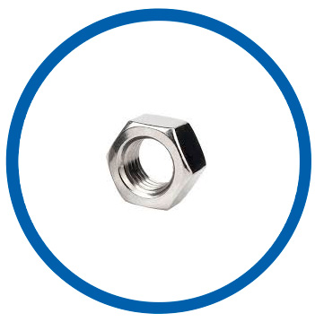 DIN 1.3964 hex nuts