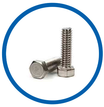 DIN 1.4005 hex bolts