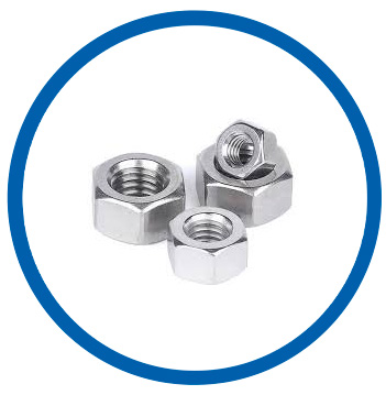 DIN 2.4654 Hex Nut DIN 2.4654 Hex Nut