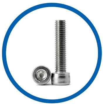 DIN 2.4665 socket head cap screw
