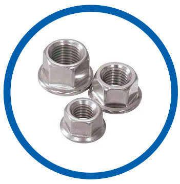 Duplex alloy flange lock nut Duplex alloy flange lock nut