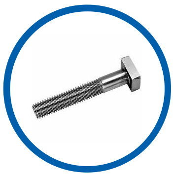 EN 1.4016 square bolts