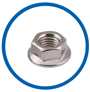 EN 2.4360 flange lock nut EN 2.4360 flange lock nut