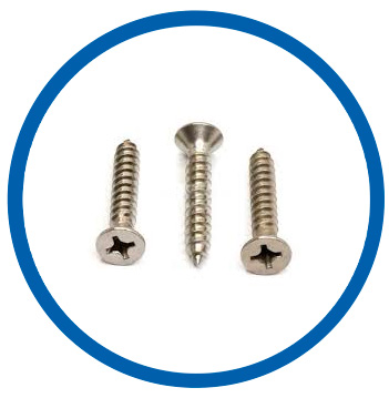EN 2.4856 screw