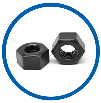 Gr 2 Hex Nuts Gr 2 Hex Nuts