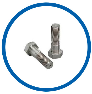 Grade 2 Titanium heavy hex bolt