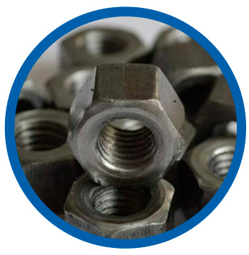 Grade B16 Hex Nuts Grade B16 Hex Nuts