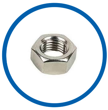 Hastelloy 2.4665 hex nuts