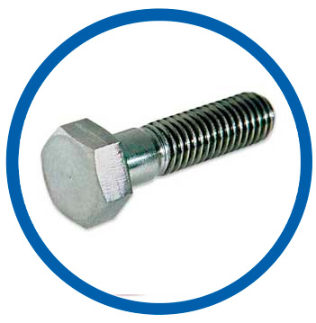 DIN 1.4948 Hex Cap Screw
