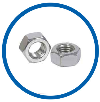 SUS 304 Hex Head Nuts