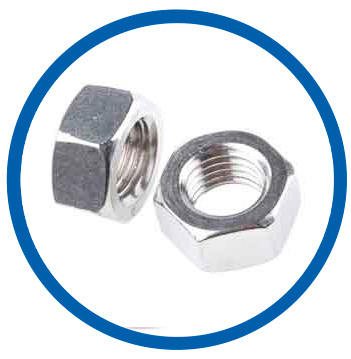 SS 304L Hex Nuts