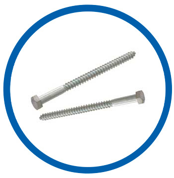 AISI 304L Lag Bolt