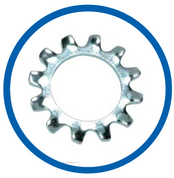 SUS 304 Lock Washer