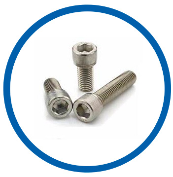 Nickel Alloy X hex cap screws